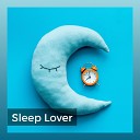 Sleep Sounds Ambient Noises - With a Good Night Sleep