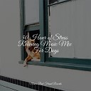 Music for Dog s Ear Music for Pets Library Music for Leaving Dogs Home… - At Ease