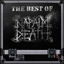 Napalm Death - Next of Kin to Chaos