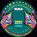 Wheats - Sneaky Fox Latmun Remix