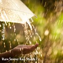 Steve Brassel - Warm Summer Rain Sounds Pt 2
