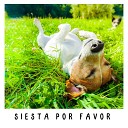 Siesta Maestro - Flotar en el Aire