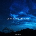 Sun Spot - Voice Of The Universe