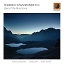 Federico Casagrande Trio - New