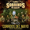 Los Sobrinos De Sinaloa - Ismael Live
