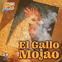 Mario Polo - El Gallo Mojao