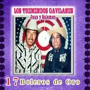 Los Tremendos Gavilanes Juan y Salom n - Mis Pasos Andaras