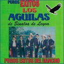 Los Aguilas De Sinaloa - El Corrido de Custodio