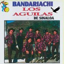 Los Aguilas De Sinaloa - Te Ocultan Tus Padres