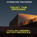 Taylan Hersek feat Glitch Molecule - Trust the Process