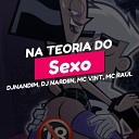 DJ NARDIIN dj nandim Mc Vint feat Mc Raul - Na Teoria do Sexo