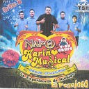 Napo Y Su Grupo Karino Musical - Cumbia San Felipe