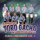 Tamborazo Toro Gacho - Corrido de Luis Cantero