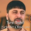 Tural Sedali feat Anonim - Sevenler Olmez 2020
