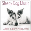 RelaxMyDog - Gentle Lullaby