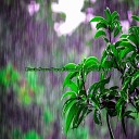 Lluvia Torrencial Lluvias Para Dormir Tranquilo Sonido de… - Lluvia Suave Para Calmar la Ansiedad del D a Pt…
