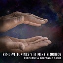 The Healing Project Schola Camerata - Remueve Toxinas y Elimina Bloqueos Frecuencia Solfeggio…