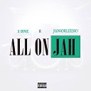 S 9ine feat Junior Leesky - All on Jah