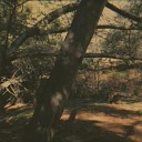 illraazi - sequoia trail
