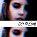 Crystal Castles Feat Robert Smith - Not In Love Radio Version