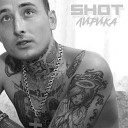 Shot - два выстрела