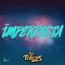 Los Tercos - Imperfecta