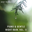 Josef Homola - Forest of Dreams