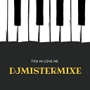 DJMistermixe - Too in Love Me