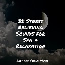 Music for Absolute Sleep Chakra Balancing Sound Therapy The White Noise Zen Meditation Sound… - Fresh Forest Air
