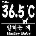 36 5 C - Harley Baby
