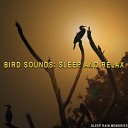 Sleep Rain Memories - Sunny Field With Birds