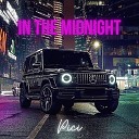 Pici - In The Midnight