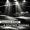 Дмитрий Рокин - В ломтике тишины