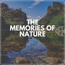 Rain Sounds Nature Collection - Inside the Shops