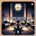 Zen Musique D tente - Larmes du Ciel