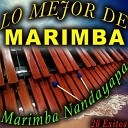 Marimba Nandayapa - Cielo Andaluz