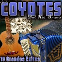 Los Coyotes del Rio Bravo - Bailando en el Alamo