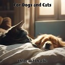 For Dogs and Cats - Furry Friends Festive Frolic