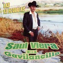 Saul Viera El Gavilancillo - Las 12 Ectareas
