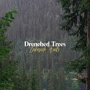 Drenched Trees - Tropical Forest Rain