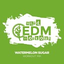 Hard EDM Workout - Watermelon Sugar Workout Mix 140 bpm