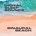 Digital Sleep Sounds - Surround Sound Ocean Swell