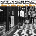 Graham Harvey Dave O Higgins feat Jeremy Brown Josh… - Stir Crazy