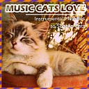 Cat Music Dreams Relax My Cat - Up and Away