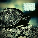 Suicidal Turtles - Who Said I Don t Run