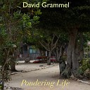 David Grammel - Where to Go