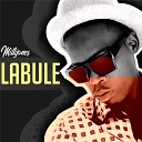 Millijones - Labule