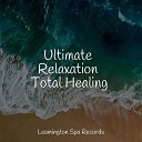 Healing Sounds for Deep Sleep and Relaxation Dr Meditation Rain… - Chill Before Snoozing