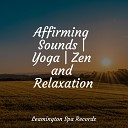 Yoga Sounds Deep Sleep Music Academy Natureza Musica Bem Estar… - Music for Meditation