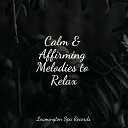 Baby Sleep Lullaby Academy, Soothing Music Academy, Meditation Zen - Focused, Relaxed